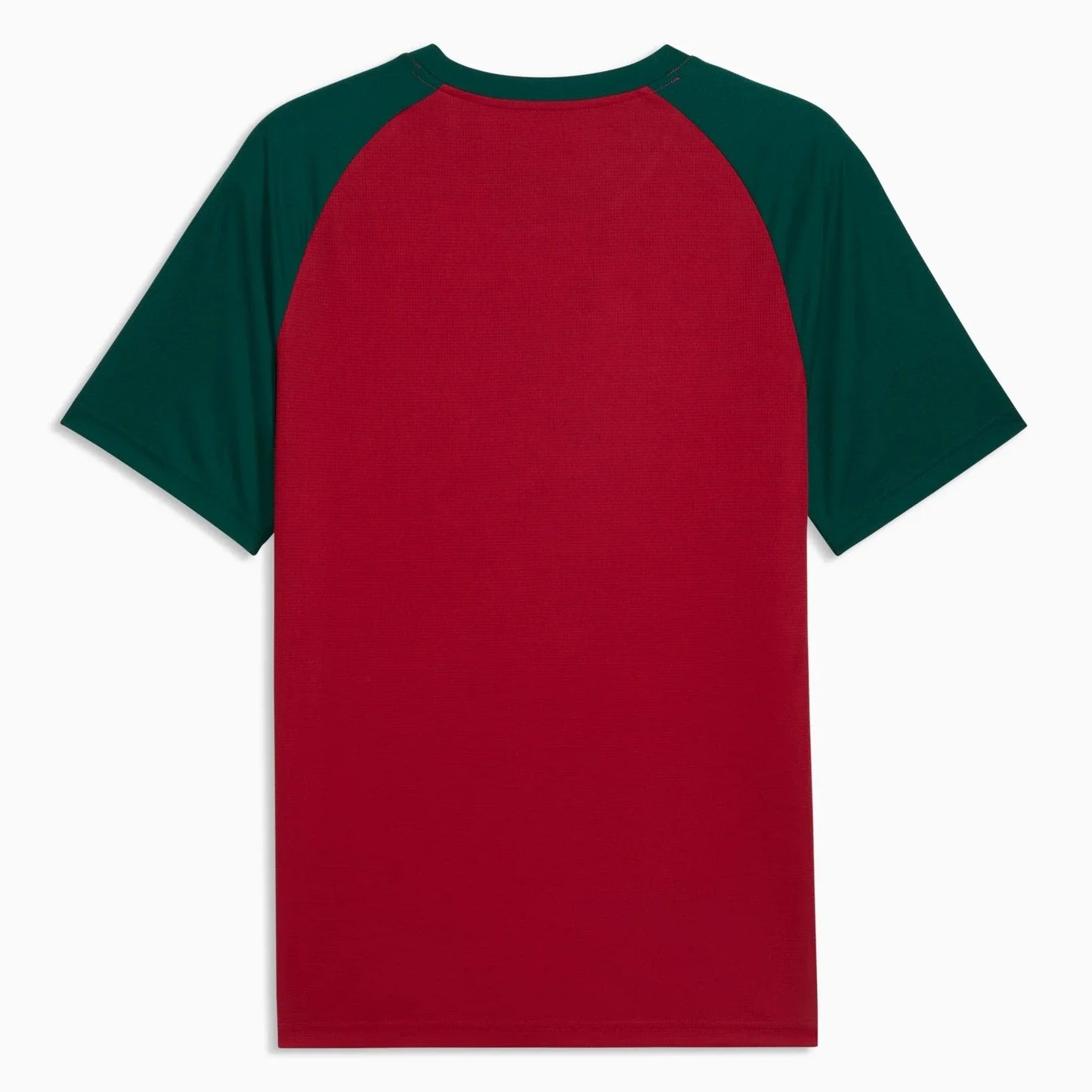 Puma 2026 Morocco Men's Pre-Match Soccer Jersey