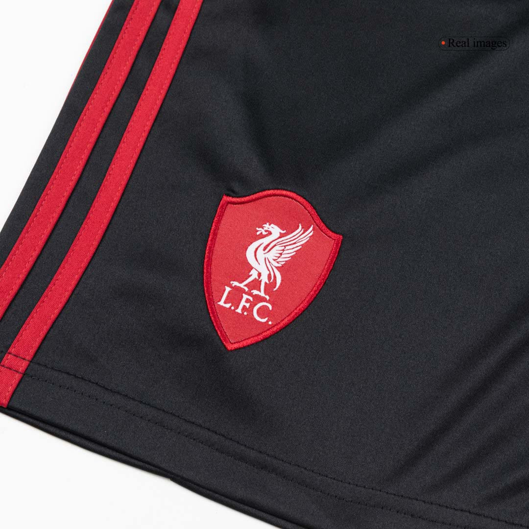 Mens Liverpool Away Kit 2025/26